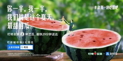 摘瓜的热门文案,热门文案揭秘摘瓜技巧与乐趣