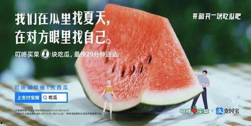 摘瓜的热门文案,热门文案揭秘摘瓜技巧与乐趣