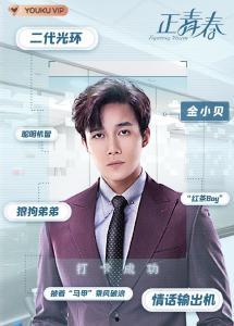 正青春电视剧,青春追梦，奋斗无悔的青春之歌