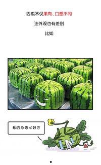 黑历史吃瓜群众图片大全,那些年吃瓜群众眼中的黑历史图片大全
