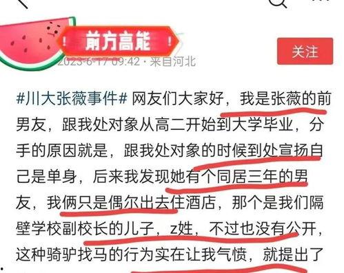 瓜条标题热门文案,网络爆款背后的秘密
