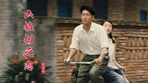 山楂树之恋电视剧,纯真年代的爱情史诗