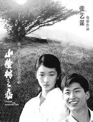 山楂树之恋电视剧,纯真年代的爱情史诗