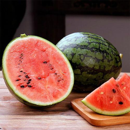 热门烂瓜的视频大全,笑料百出，笑翻你的2023年度盘点