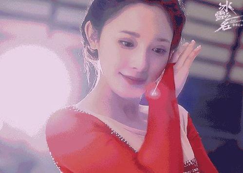 来哈尔滨的明星网红