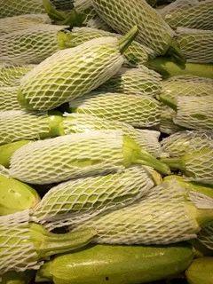 蔬菜蒲瓜今日行情价格表,价格波动解析与市场趋势洞察