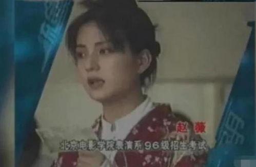 中专生明星网红,明星网红的崛起之路