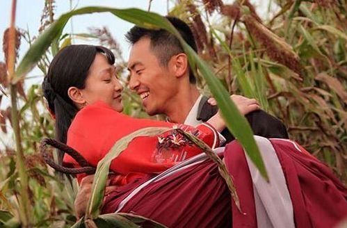 电视剧红高粱,乱世情仇与民族抗争