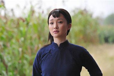 电视剧红高粱,乱世情仇与民族抗争