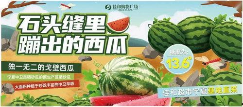 51热门大瓜吃瓜,揭秘娱乐圈最新热点事件