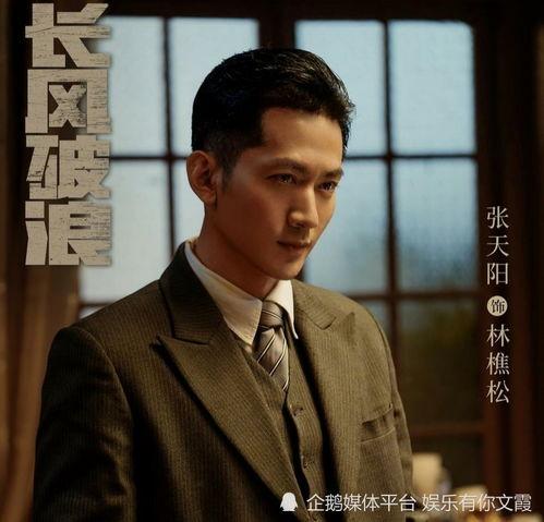 央视电视剧,揭秘时代变迁下的家国情怀