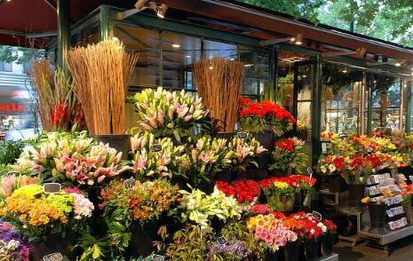 热门大瓜 花店老板,一场关于爱情与事业的纠葛