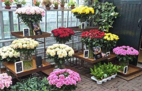 热门大瓜 花店老板,一场关于爱情与事业的纠葛