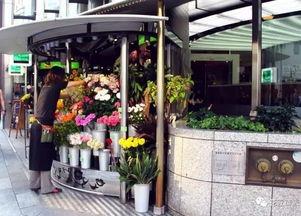 热门大瓜 花店老板,一场关于爱情与事业的纠葛