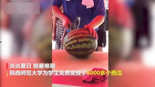 吃瓜黑科大视频,吃瓜群众视角下的校园生活