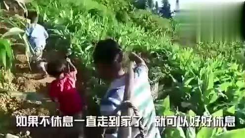 吃瓜黑科大视频,吃瓜群众视角下的校园生活