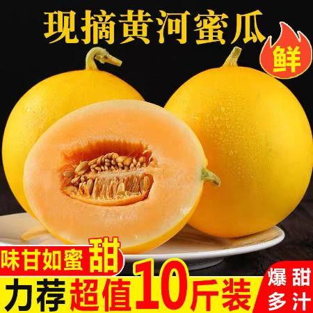 万邦黄河蜜瓜今日行情,甜蜜价格波动，市场供需动态解析