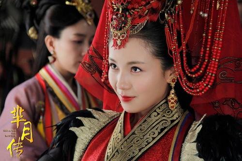 芈月传电视剧,宫廷权谋与女性命运的史诗画卷