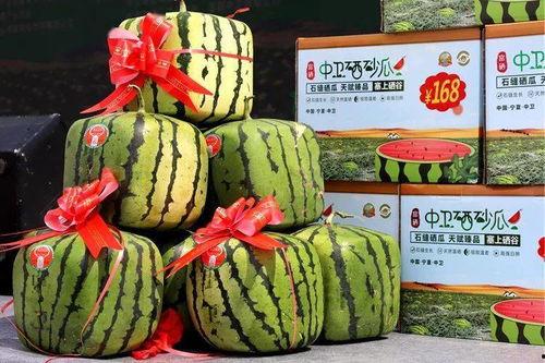中卫硒砂瓜今日报价,价格行情一览