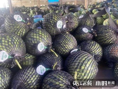 海南二瓜今日价格表最新,最新行情一览