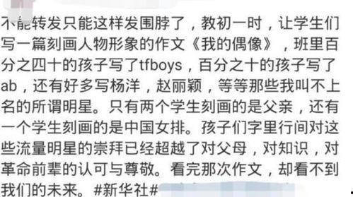 真正的明星网红作文