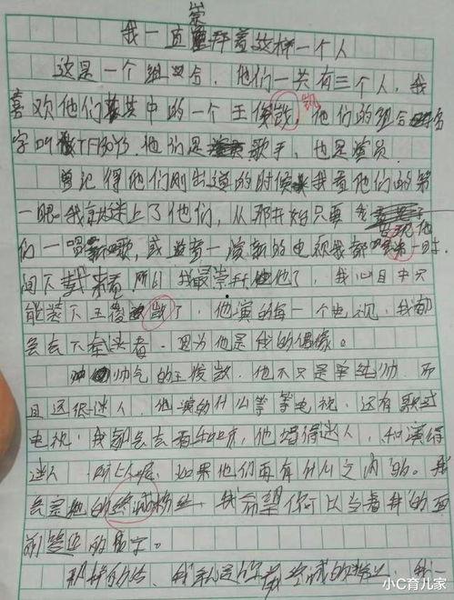 真正的明星网红作文