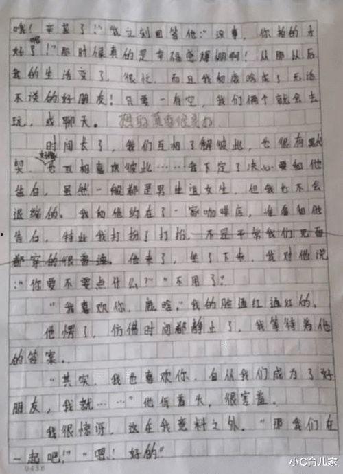 真正的明星网红作文