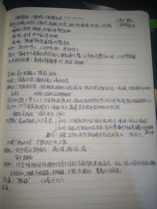明星网红作文素材摘抄,影响力与争议并存