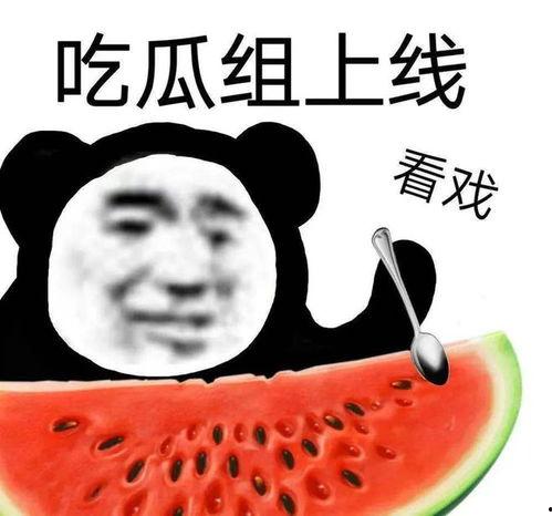 今日黑瓜吃料价格表,今日食材行情一览”