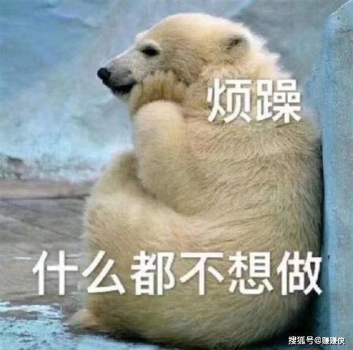 热门吃瓜表情包下载,笑料横生的网络潮流