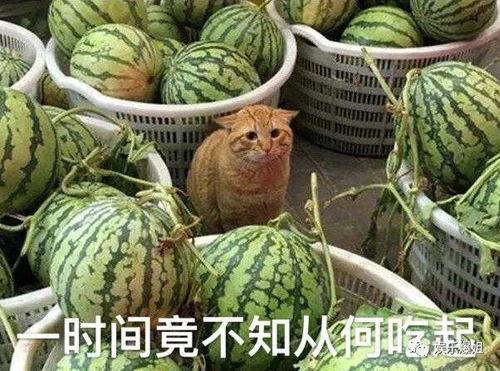 吃瓜黑爆料,吃瓜黑爆料背后的真相
