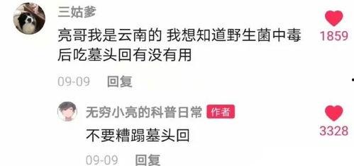 鉴定网络热门瓜博主,揭秘幕后真相与热门事件背后的故事