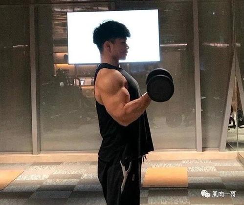 明星网红健身教练,明星网红健身教练的塑形秘籍