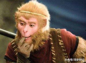 小和尚黑悟空吃瓜,小和尚的趣味生活揭秘