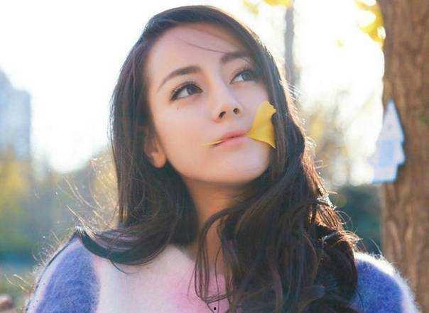 版纳明星网红是谁,谁是版纳地区的新晋人气王？